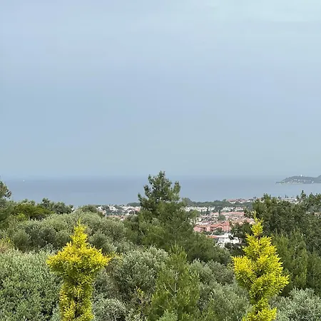 Vila Spacegardenvillas *